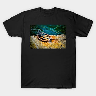 Rusty ring by the jetty T-Shirt